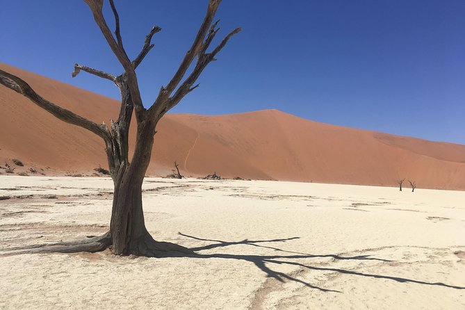 3 Day Camping Safari at Sossusvlei - Tips for an Enjoyable Experience