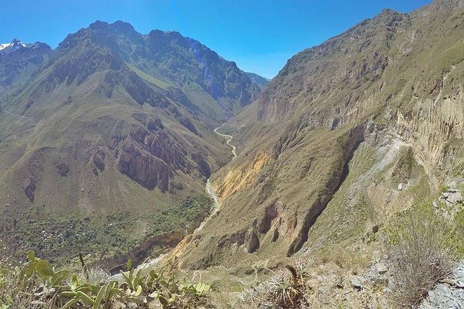 3-Day Colca Canyon Trekking From Arequipa - Traveler Reviews