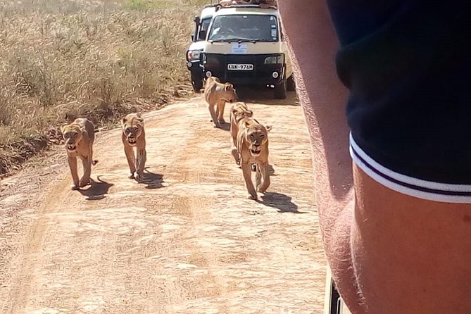 3 Day Maasai Mara & Migration Safari - Tips for a Successful Safari