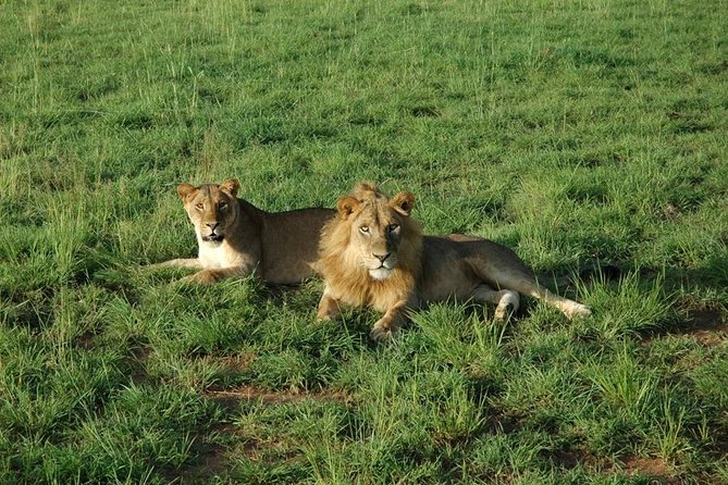 3-Day Murchison Falls National Park - Adventure Safari - Tour Booking and Cancellation Policy