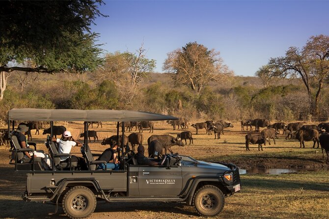 3-Day Victoria Falls Safari With Dinner Cruise - Getting There and Tips