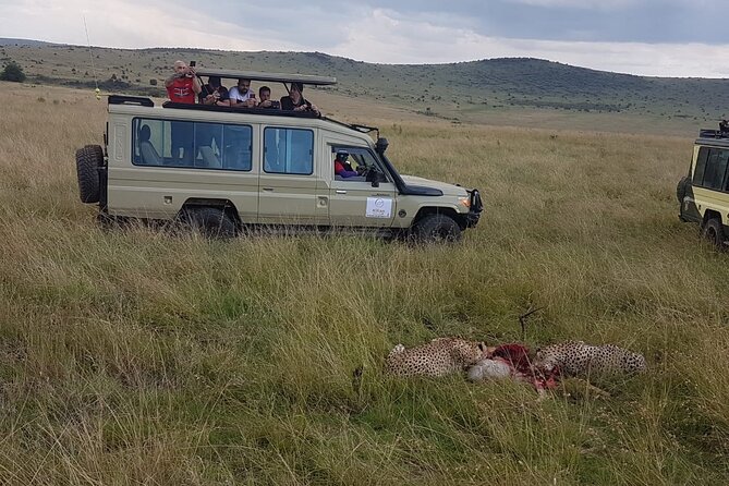 3 Days Maasai Mara Private Safari - Extending Your Kenya Experience