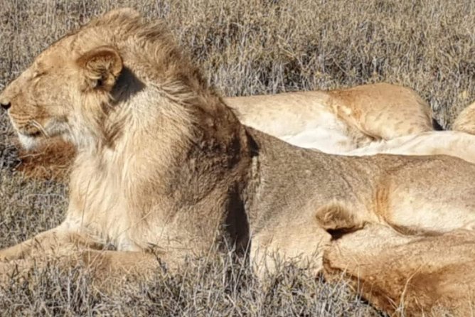 3 Days Selous Game Reserve Fly From Zanzibar - Frequently Asked Questions