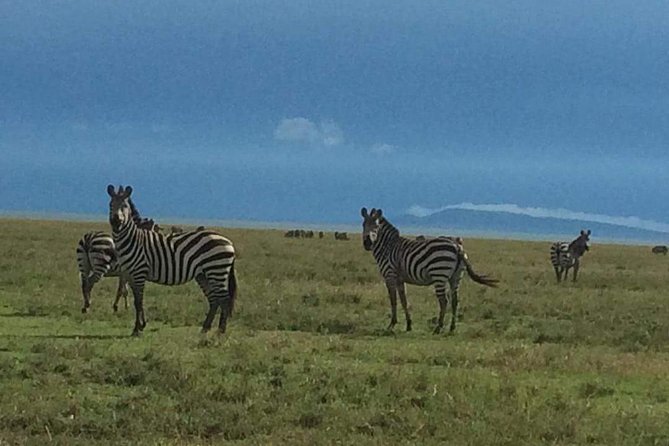 3 Days Tarangire, Ngorongoro & Lake Manyara Package - Frequently Asked Questions