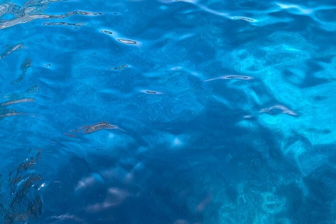 3-Hour Private Boat Tour of the Island of Capri - Getting There
