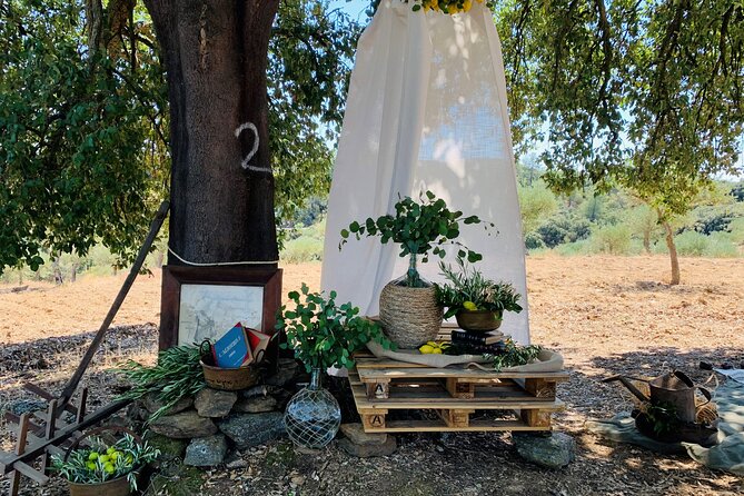 3-Hour Private Wine Tasting in Quinta Da Vineadouro With Lunch - Guest Reviews and Ratings