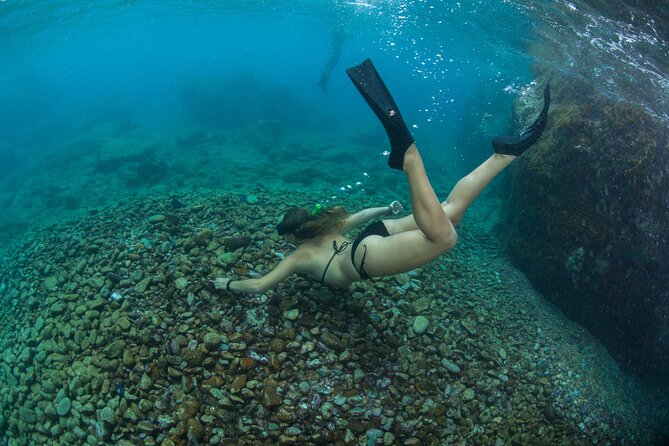 3 Hours Morning Snorkel Sail From Frenchmans Reef - Maximum Participant Capacity