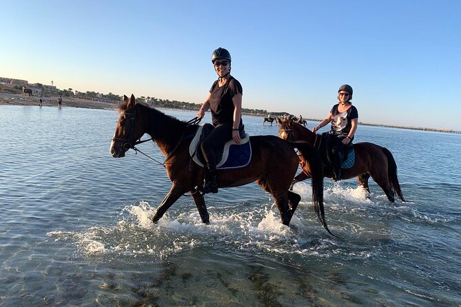 3 Hours Swimming By Horse in Red Sea Riding on the Beach and Dessert - Hurghada - Operator Details