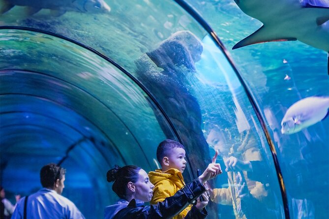 3 in 1 Fun With Viaport Theme Park With Aquarium and Lion Park - Preparing for Your Exciting Adventure
