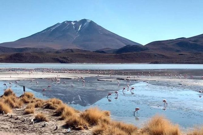 3D 2N Uyuni Salt Flats by Flight From La Paz to Atacama, Chile - Visiting Incahuasi Island