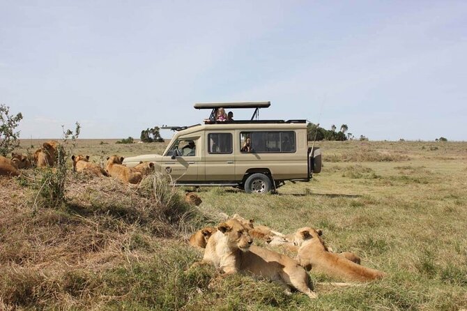 4 Day Great Migration Safari Serengeti & Ngorongoro Crater - Pricing and Cancellation