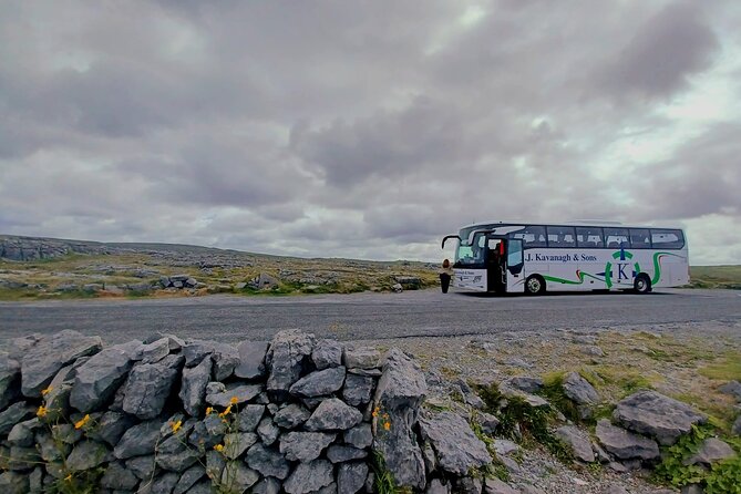 4-Day Guided Tour to Discover Ireland and Dublin - Enhancing Organizational Efficiency