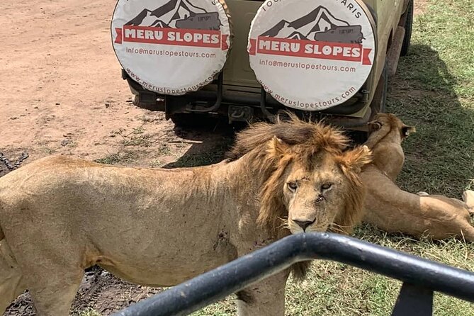 4-Day Tarangire Serengeti, Ngorongoro & Maasai Guided Group Tour - Additional Information and Tips