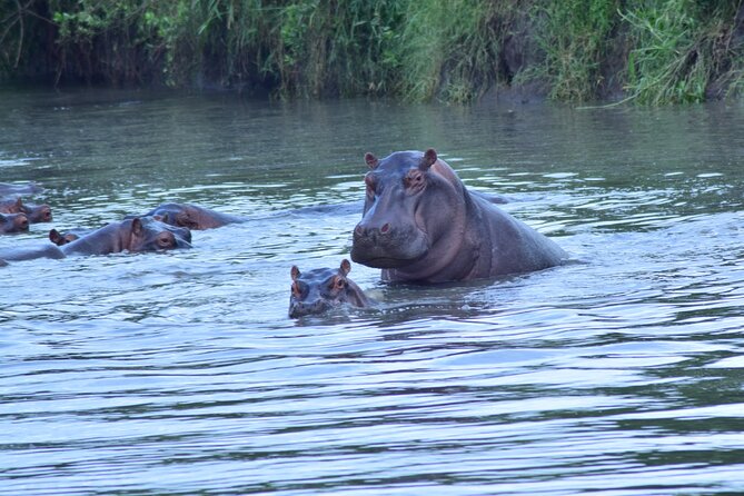 4 Days Tanzania Budget Group Join Safari- Serengeti & Ngorongoro - Safety and Insurance