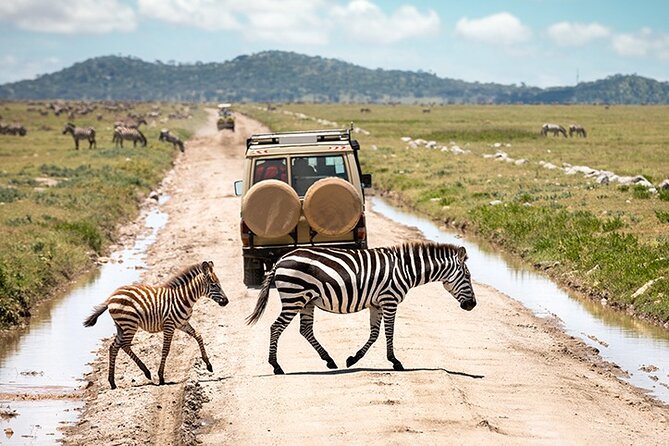 4 Days Tanzania Camping Safari - Frequently Asked Questions