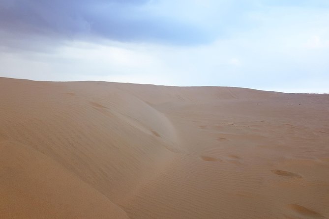 4 Days Tour In Doha | City Tour | North Tour | Desert Safari | West Tour - Desert Safari Adventure