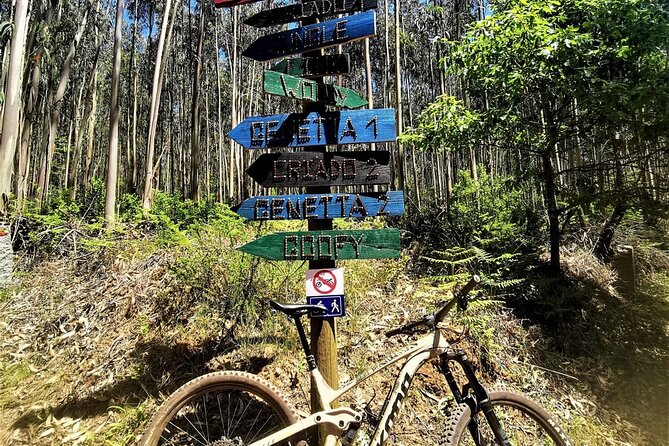 4 Hour Private MTB Enduro Trail Tour in Sintra Mountain - Safety and Age Requirements