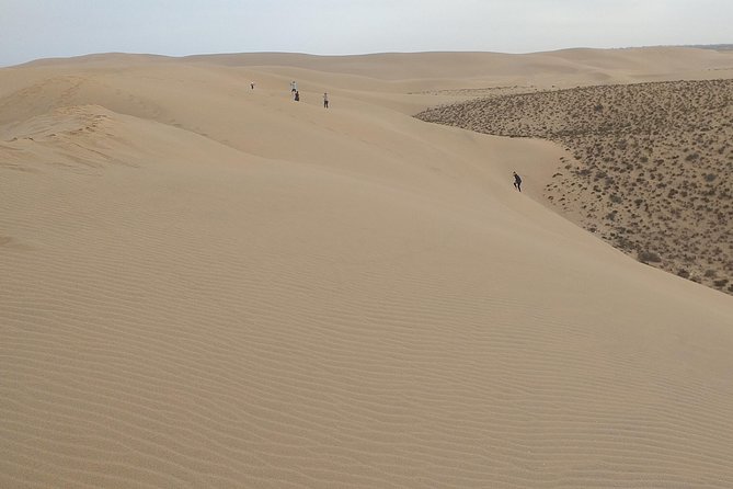 4 Hours.Agadir : Trip to Sahara and Tifnit Fishing Village - Traveler Feedback and Testimonials