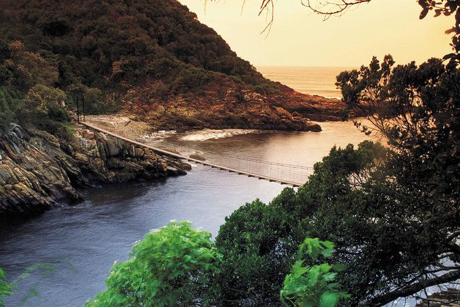 5 Day Cape to Addo Safari - Garden Route Small Group Tour - Exceptional Value for Money