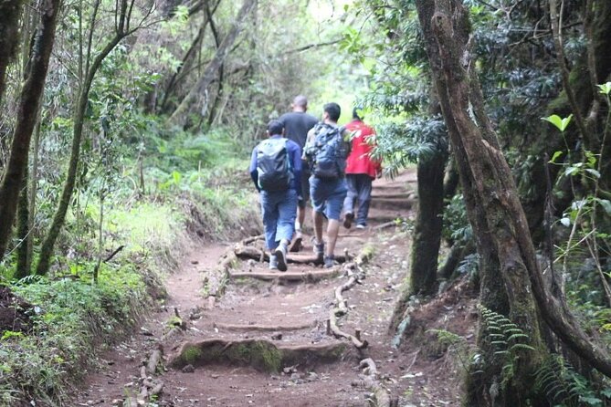 5-Day Kilimanjaro Hiking Tour | Climb Kilimanjaro - Marangu Route - Frequently Asked Questions