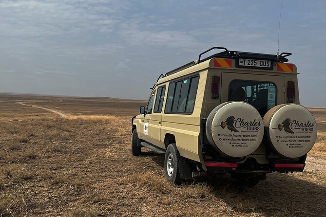 5-Day Private Safari in Serengeti Np & Ngorongoro Crater - Experience Testimonials