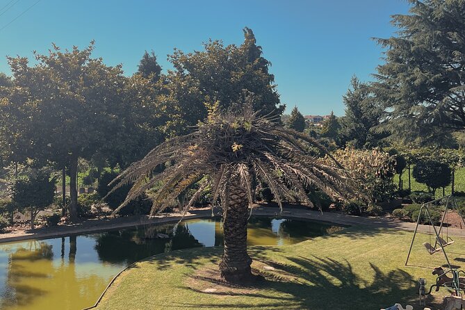 5 Day Solo or Couple Retreat at a Lovely Farm in Porto - Participant Information