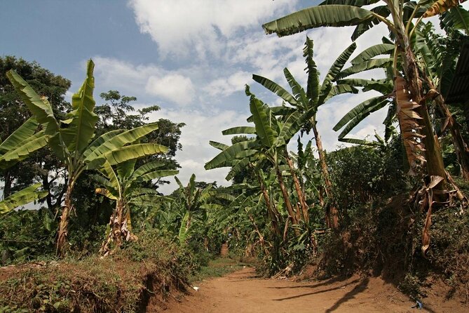 5 Days Marangu Route - Mount Kilimanjaro Trek - Frequently Asked Questions