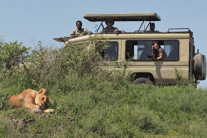 5-Days Private Midrange Safari: Serengeti, Ngorongoro & Manyara - Tips for Travelers