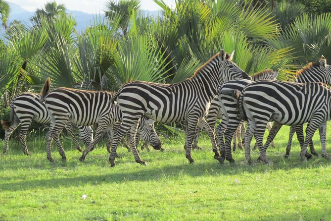 5 Days Tanzania Private Group Safari - Additional Information