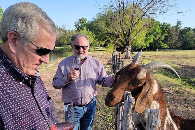 5 Star, Private Wine Tour, BEST in Town, TASTINGS INCLUDED! - Booking Information