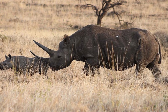 6 Day: Magnificent Wildlife Adventure - Pricing Details