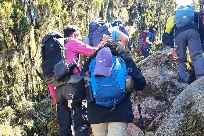 6 Days Climbing Mount Kilimanjaro Machame Route - Tips for a Successful Climb