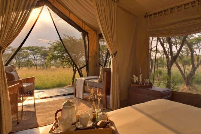 6 Days Maasai Mara/Nakuru/Amboseli Group Safari - Booking Information