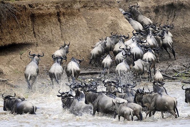 6 Days Private Camping Safari Serengeti, Ngorongoro, Lake Manyara and Tarangire - Transportation and Pickup