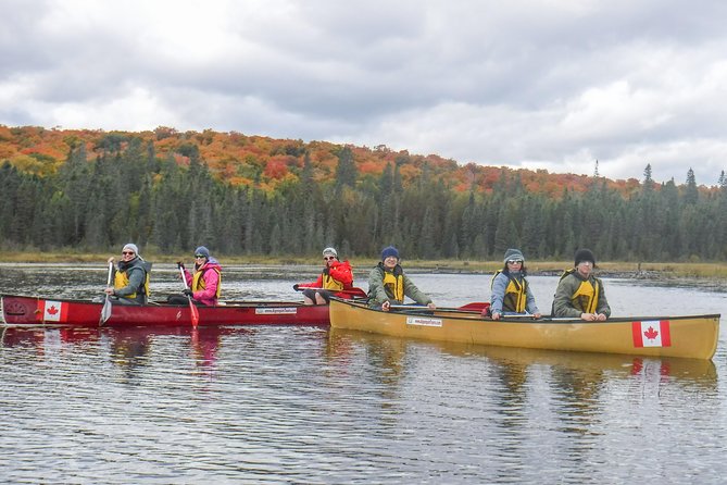 6 Hour Algonquin Park Canoe Trip - Traveler Experiences