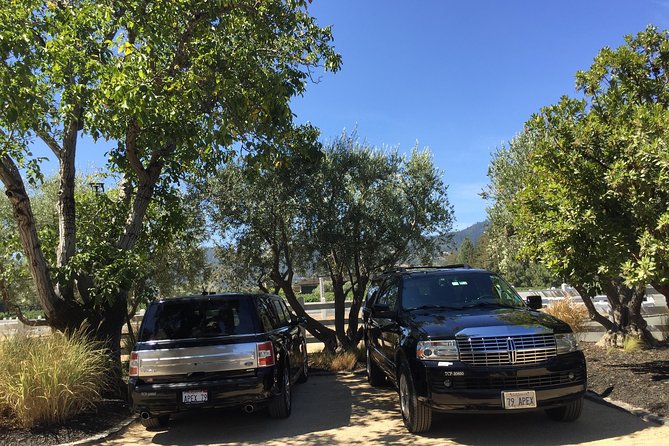 6-Hour Private Wine Country Tour of Napa Valley (Up to 6 People) in Large SUV - Minimum Age and Medical Requirements