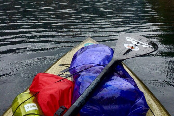 6 Hour SUP Finlayson Arm Fjord - Frequently Asked Questions