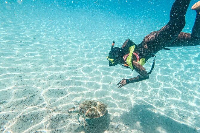 6 Hours Guided Beach Escape - Ratings and Reviews