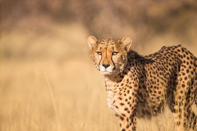 7 Day Grand Tanzania Safari - Packing and Preparation