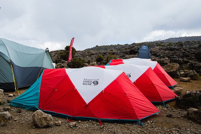 7 Day Trek To The Roof Of Africa Kilimanjaro via Machame Route - Frequently Asked Questions