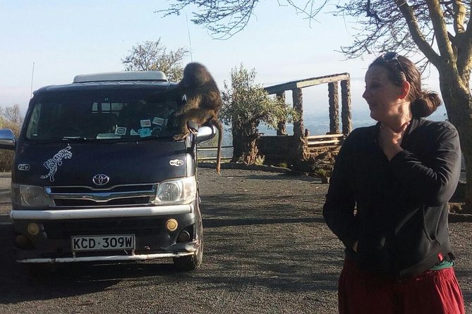 7 Days Maasai Mara - Lake Nakuru - Lake Naivasha - Amboseli Safari - Traveler Feedback and Ratings