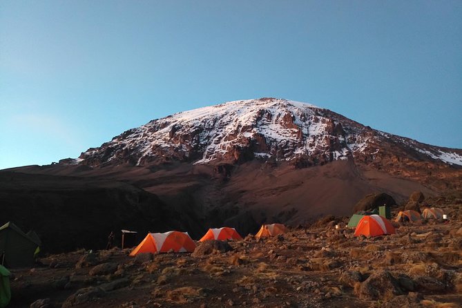 7 Days Rongai Route Climbing Mt. Kilimanjaro - Booking and Cancellation Policy