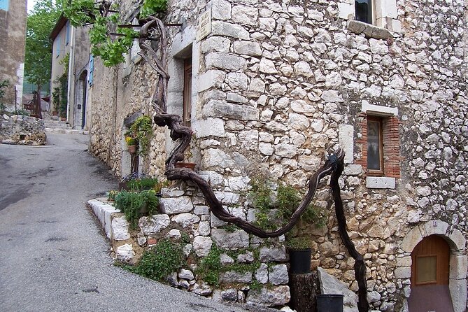 7h Sightseeing Excursion: Visit Saint Paul, Antibes, Cannes. - Important Considerations for Travelers