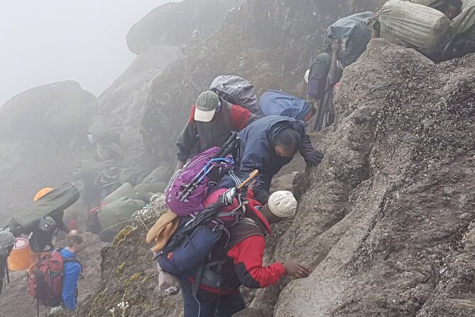 8 Day Kilimanjaro Lemosho Climb - Post-Trek Reflections and Accomplishments