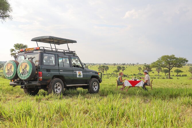 8-Day Private Uganda Big 5 Luxury Safari With Gorillas and Chimps - Itinerary and Logistics