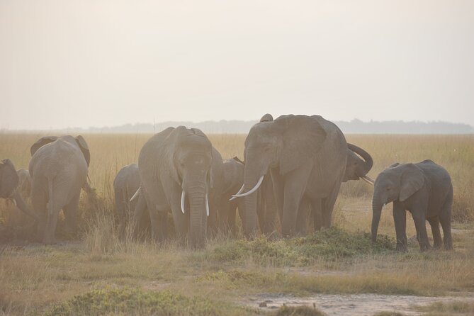 8 Days / 7 Nights 2021 / 2022 Wildebeest Migration Safari - Maasai Mara Reserve - Booking Information