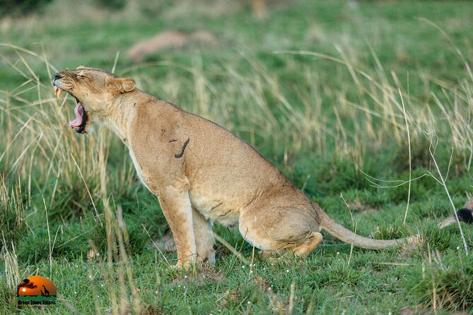 8 Days Gorillas, Primates & Wildlife Safari Uganda Safari - Frequently Asked Questions