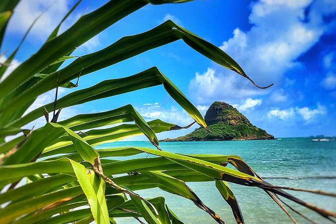 8 Hour Circle Island Jeep Tour - Cancellation and Refund Policy