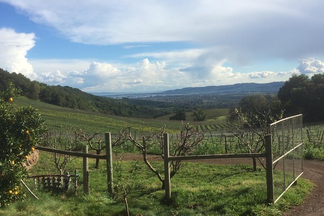 8-Hour Private Wine Tour Experience for up to 6 Guests - San Francisco to Sonoma - Safety and Comfort