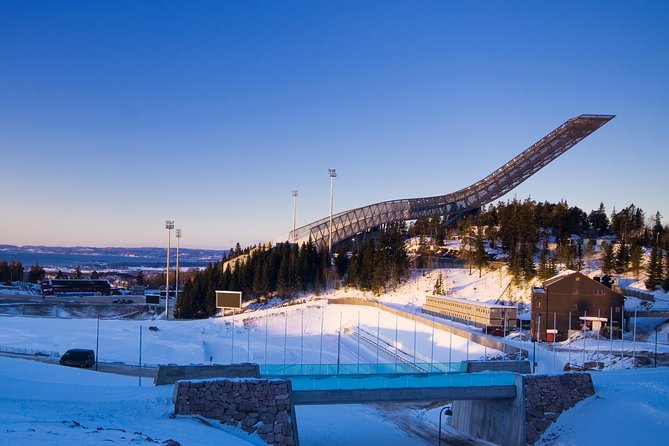 8 Hours Full-Day Exclusive Oslo Tailormade Guided Limo Tour - Best Cruise Shore! - Additional Information